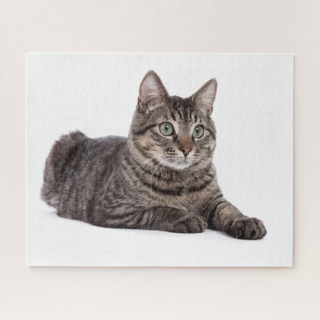 Puzzle Gray Tabby Cat (Horizontal)