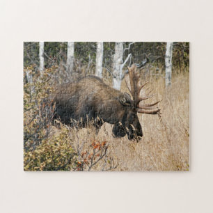 Puzzle Grazing Moose