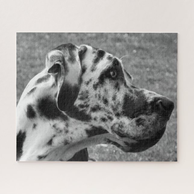 PUZZLE GREAT DANE (Horizontal)