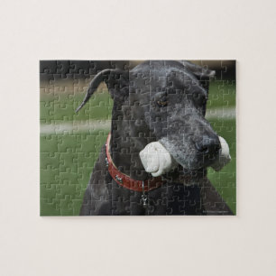 Puzzle Great dane con el hueso