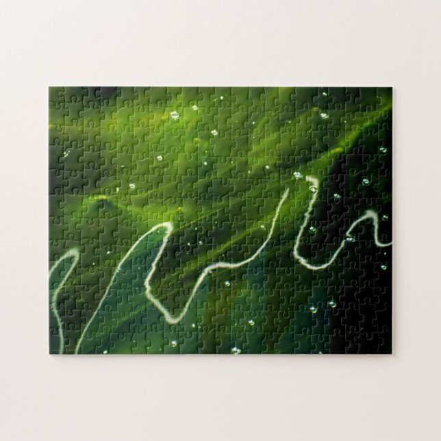 Puzzle Green Algae and Water 11x14 252pc jpcn (Horizontal)