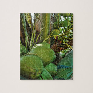 Puzzle Green Island Coconuts Palm Tree