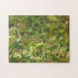 Puzzle Green Lynx Spider