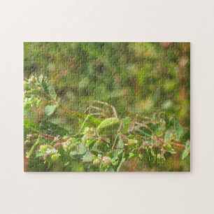 Puzzle Green Lynx Spider