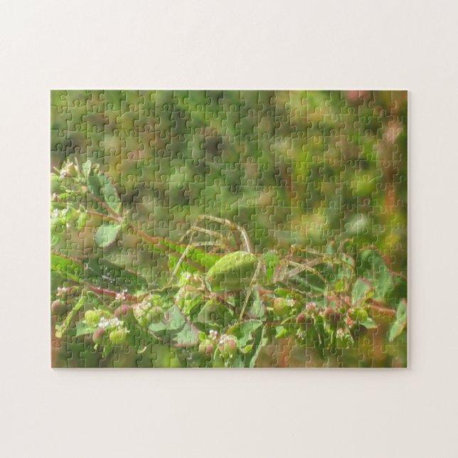 Puzzle Green Lynx Spider (Horizontal)