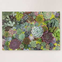 Puzzle Greenery Succulents