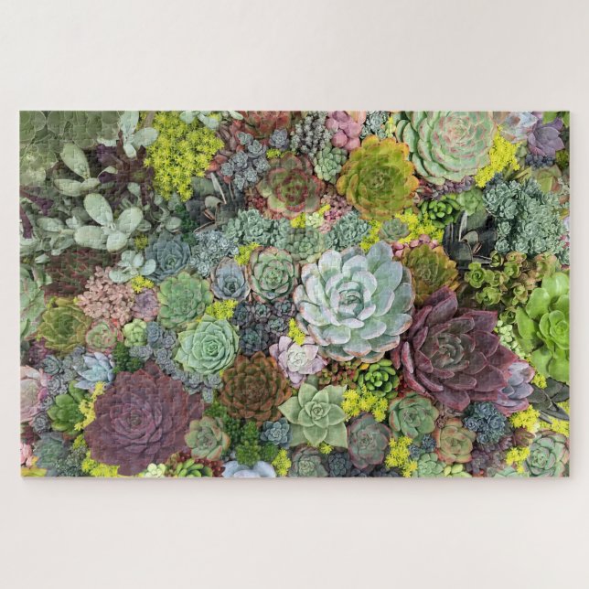 Puzzle Greenery Succulents (Horizontal)