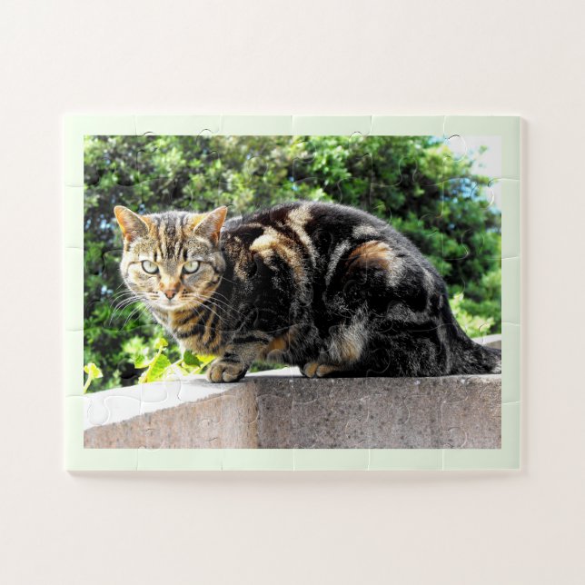 Puzzle Gremlin, el gato del tabby (Horizontal)