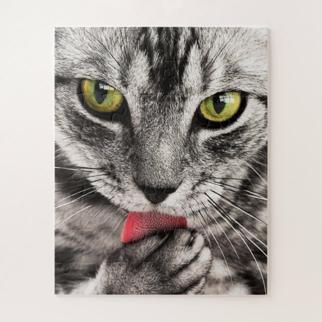 Puzzle Grey Cat with Yellow Eyes Licking Paw (Vertical)