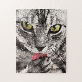 Puzzle Grey Cat with Yellow Eyes Licking Paw