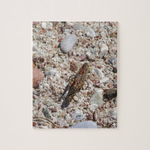 Puzzle Grillo de Jiminy