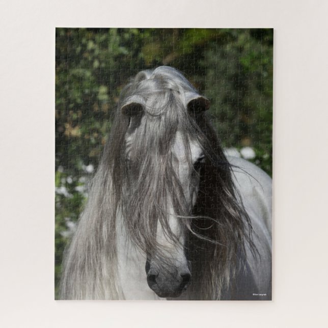 Puzzle Gris Andaluz Stallion Headshot Long Mane (Vertical)