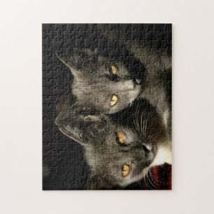 Puzzle Gris Cat Copule