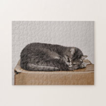 Gris Gris Gris Cuidadoso Gato Durmiendo En La Caja