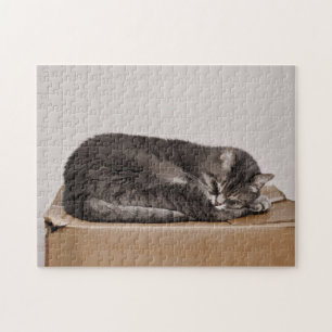 Puzzle Gris Gris Gris Cuidadoso Gato Durmiendo En La Caja