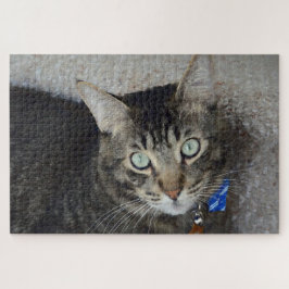 Puzzle Gris lindo Tabby Cat Ojos verdes elegantes