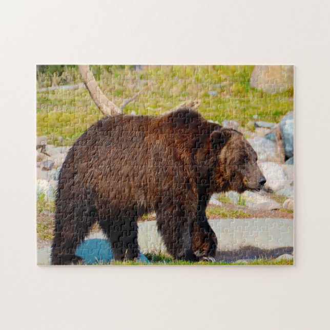 Puzzle Grizzly Se Lleva Montana. (Horizontal)