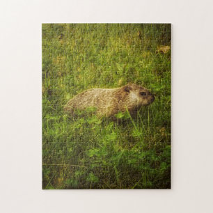 Puzzle Groundhog en un campo