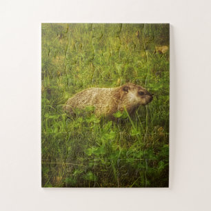 Puzzle Groundhog en un campo