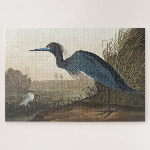 Puzzle Grúa azul o garza de los pájaros de América