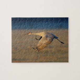 Puzzle grúa del sandhill