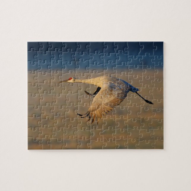 Puzzle grúa del sandhill (Horizontal)