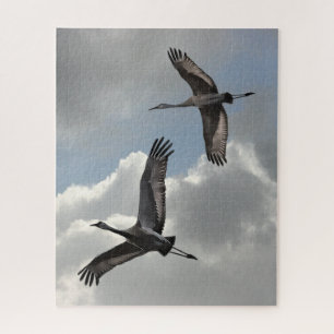 PUZZLE GRÚAS DE SANDHILL