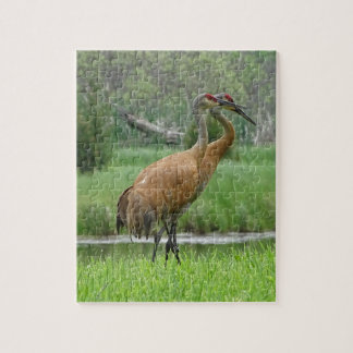 Puzzle Grúas de Sandhill