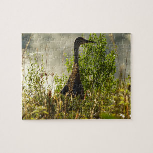 Puzzle Grulla Canadiense en Moose Ponds en Grand Teton