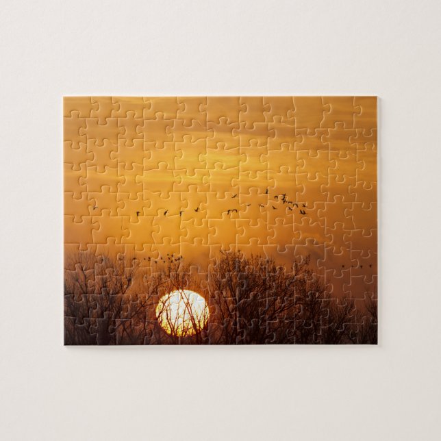 Puzzle Grullas siluetadas contra el sol naciente (Horizontal)