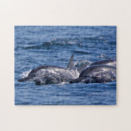 Puzzle Grupo de delfines en botella - Omán