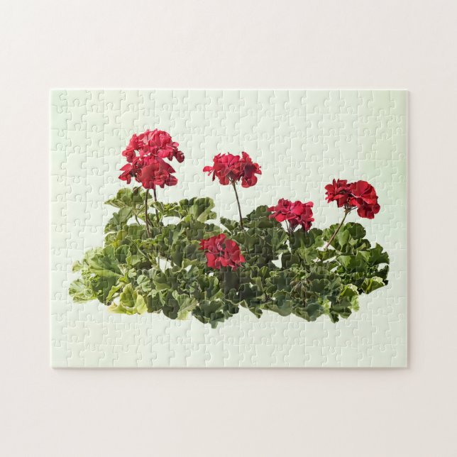 Puzzle Grupo de geranios rojos (Horizontal)