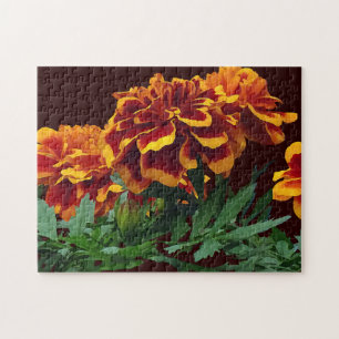 Puzzle Grupo de Marigoldes Naranjas con consejos amarillo