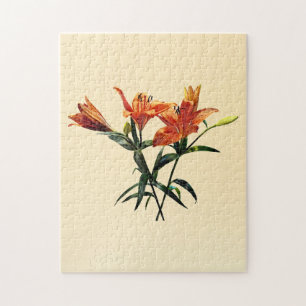 Puzzle Grupo de Naranjas Lilies