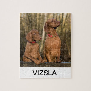 Puzzle grupo del vizsla