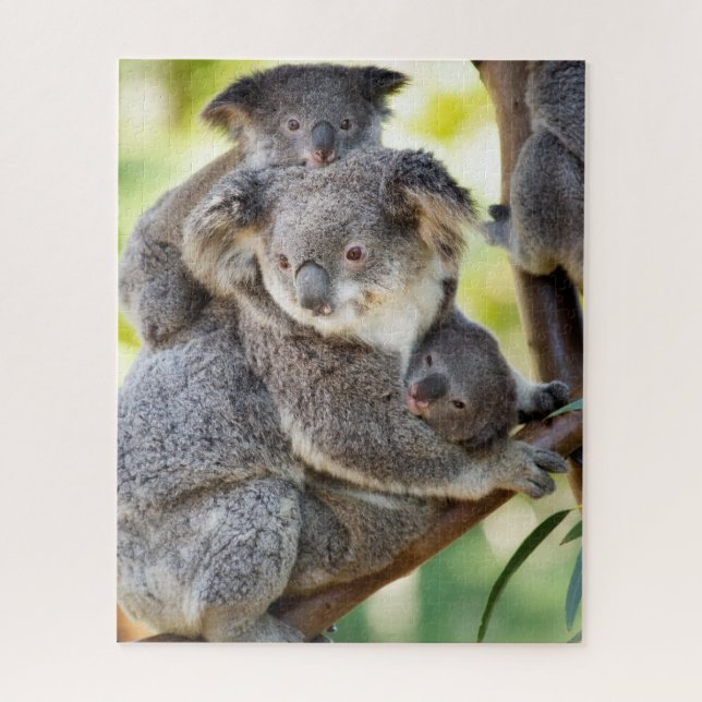 Puzzle Grupo familiar de vida silvestre Super Cuala Koala (Vertical)