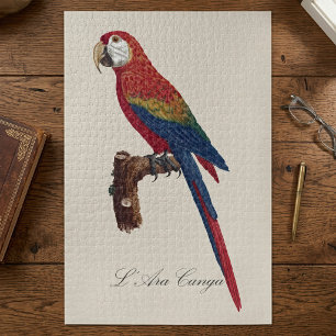 Puzzle Guacamayo Escarlata o Guacamayo Macao, Ara macao