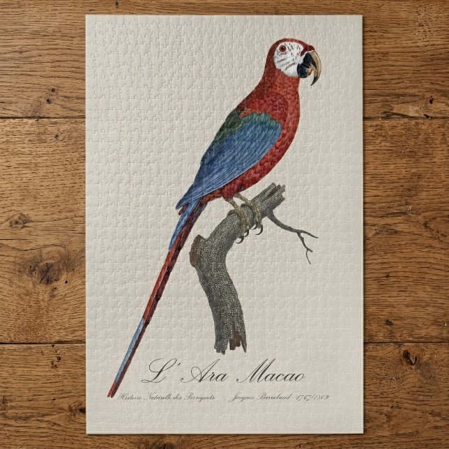 Puzzle Guacamayo rojo y verde, Ara chloropterus (Red-and-green Macaw, Ara chloropterus. Jigsaw Puzzle)