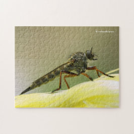 Puzzle Guay Assassin Fly Bug Inspire