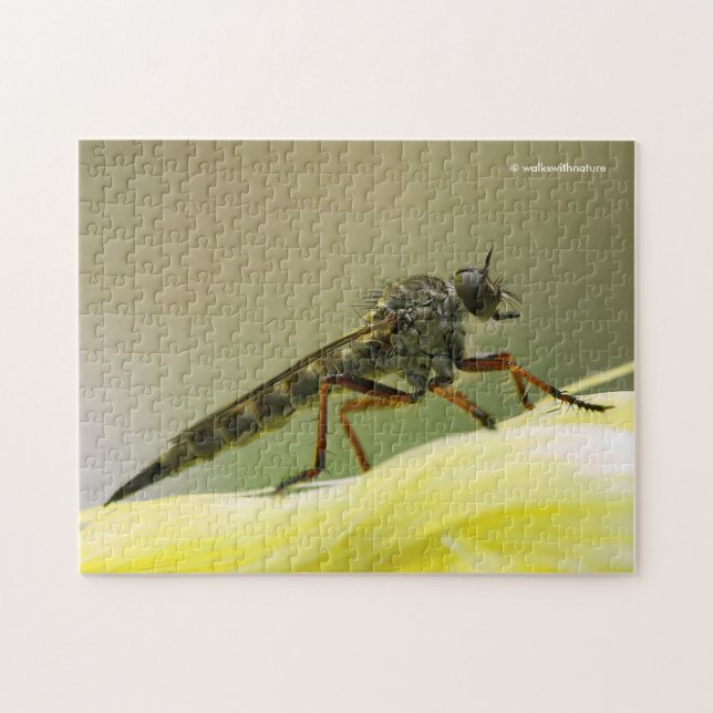Puzzle Guay Assassin Fly Bug Inspire (Horizontal)