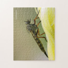 Puzzle Guay Assassin Fly Bug Inspire