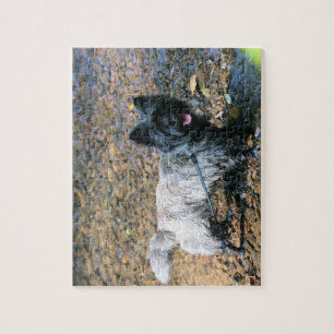 Puzzle Guay cairn