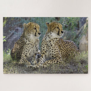 Puzzle Guepardo
