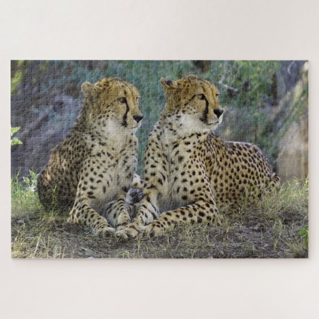 Puzzle Guepardo (Horizontal)
