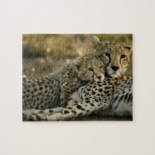 Puzzle Guepardo, Acinonyx jubatus, con cría en el Masai 2