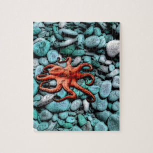 Puzzle Guijarros del pulpo