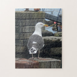Puzzle Gull con respaldo negro, Isla de Islay, Escocia