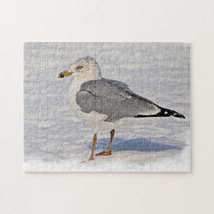 Puzzle Gull en la nieve