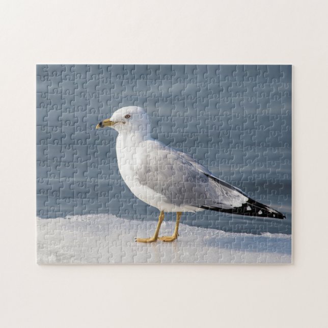 Puzzle Gull on ice (Horizontal)