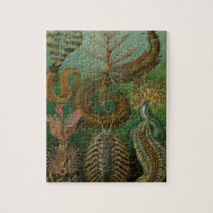 Puzzle Gusanos antiguos Annelids Chaetopoda por Ernst Hae